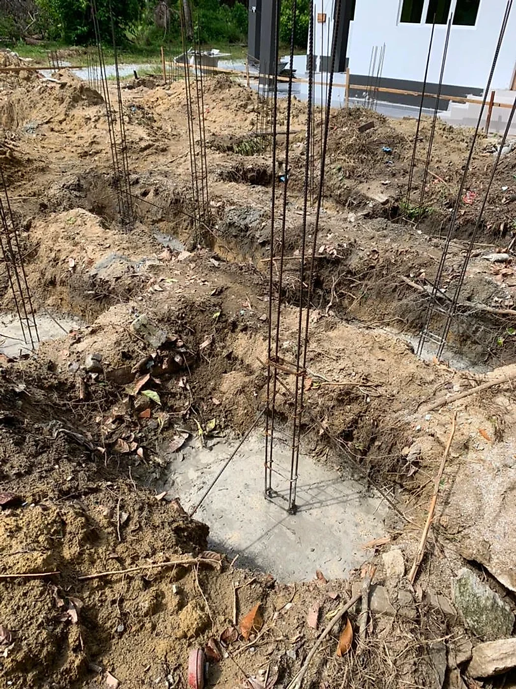 Footing pits dug with column steel bars standing in fresh concrete